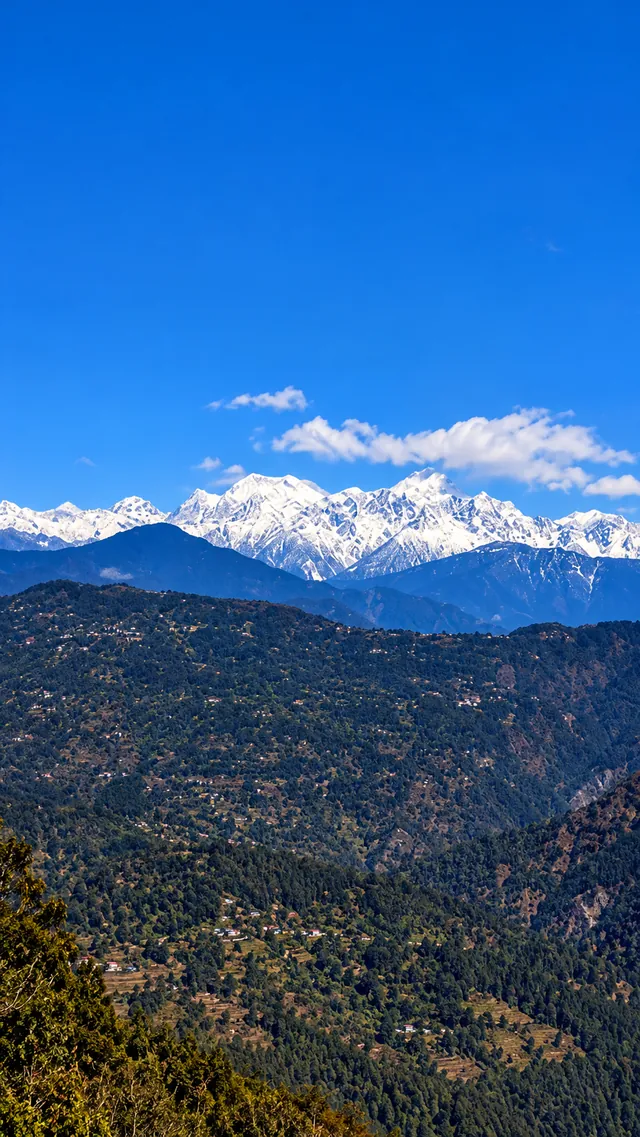 Snowy peaks beyond a steep forested valley under a clear blue sky